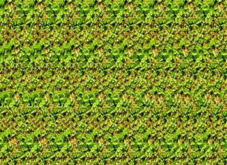 Стереограммы для зрения 2020