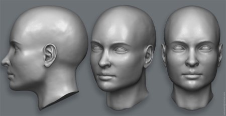 Человек в 3/4 референс