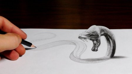 Рисование в 3д для начинающих