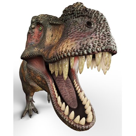 Зубы рекс Тираннозавр рекс