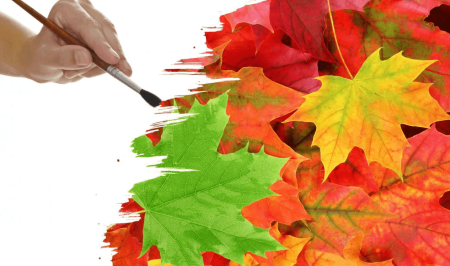 Краски осени