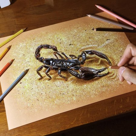 Скорпион цветными карандашами