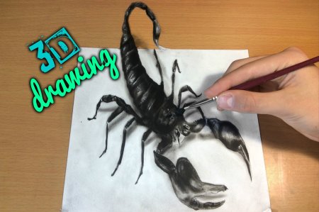 Скорпион 3д