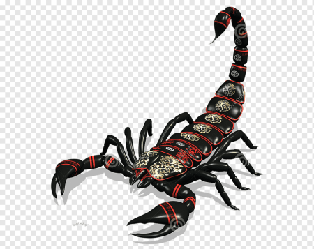 Тату Скорпион