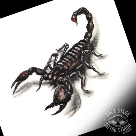 Скорпион Графика