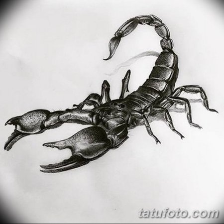 Скорпион эскиз