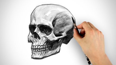 3d череп рисунок (50 фото)