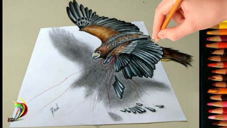 3 Д птицы нарисованные