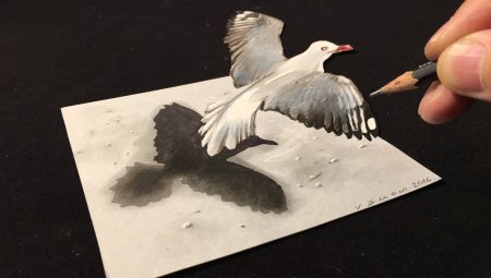 Зд рисунок птица