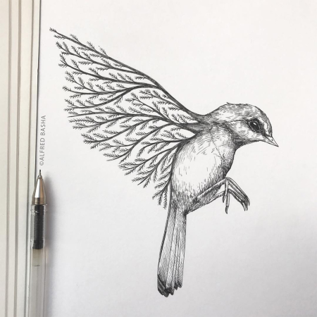 Птица карандашом
