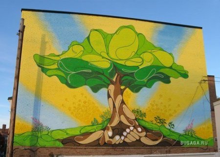 Граффити природа