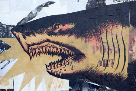 Акула граффити