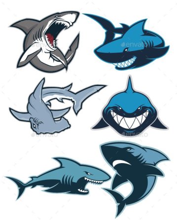 Лого акула арт