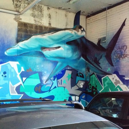 Акула в стиле граффити