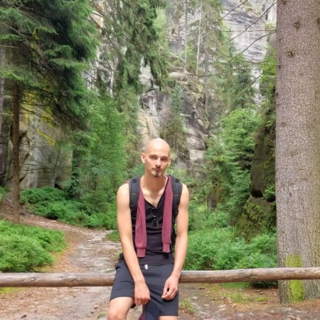 Волк граффити