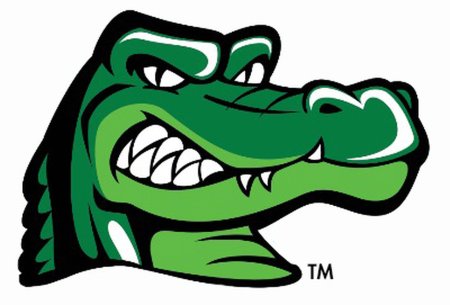 Крокодил в рубашке