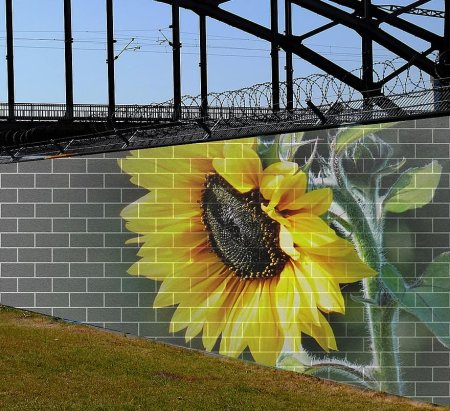 Забор с подсолнухами