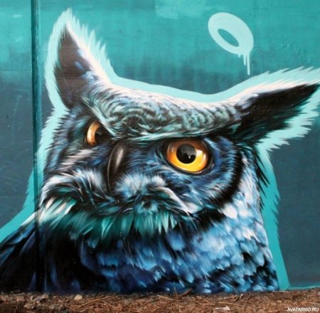 Сова граффити
