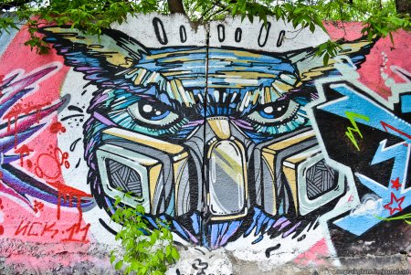 Сова граффити