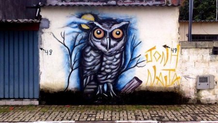 Филин граффити