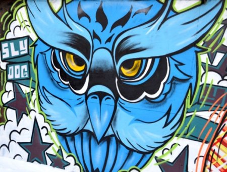 Сова граффити