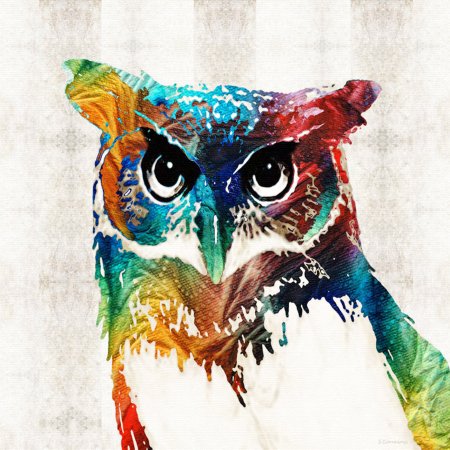 Красочная Сова
