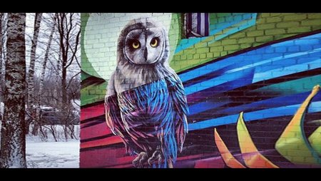 Стрит арт Сова