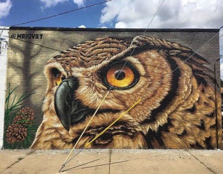 Стрит арт Сова
