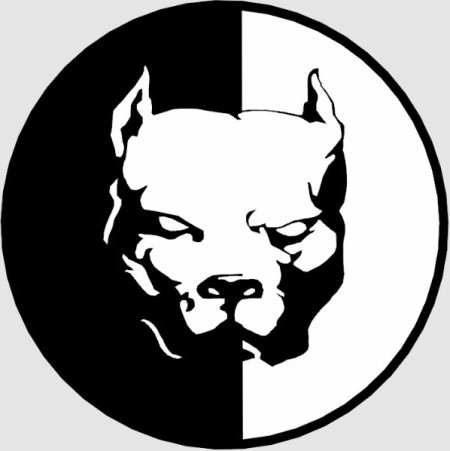 Питбуль Давидыча