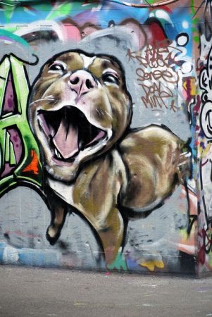 Граффити питбуля