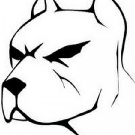 Морда питбуля рисунок