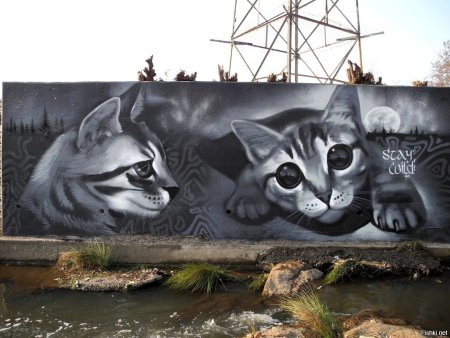 Граффити с котами