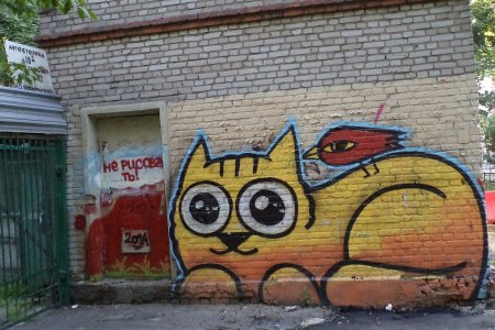 Граффити кот