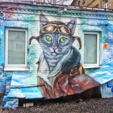 Граффити кот