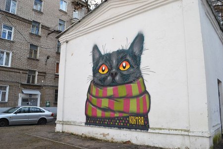 Граффити кот
