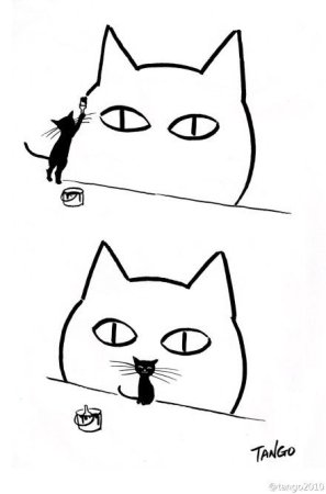 Кот граффити легко
