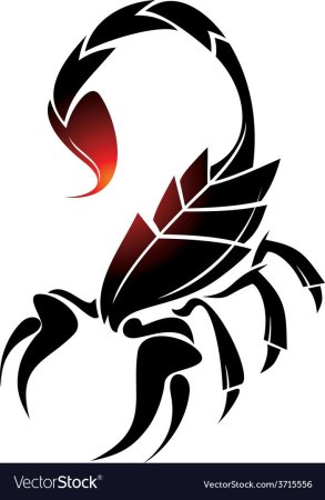 Скорпион абстракция