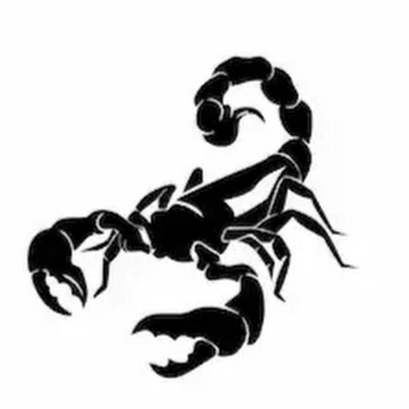 Скорпион векторное изображение