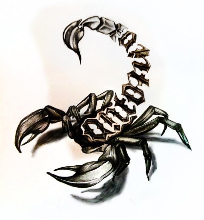 Стилизованное изображение скорпиона