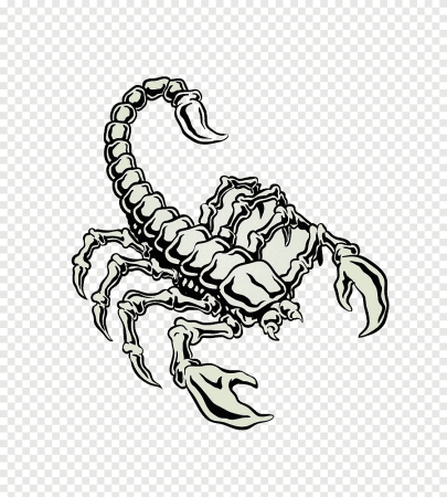 Скелет скорпиона