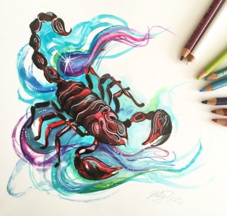 Скорпион арты