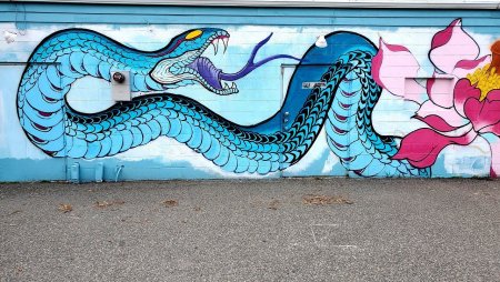 Граффити со змеями
