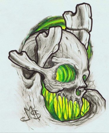 Тату череп органика