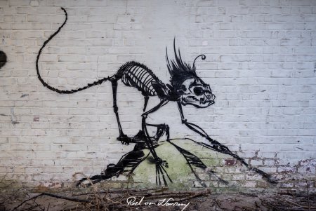 Скелет рисунок граффити