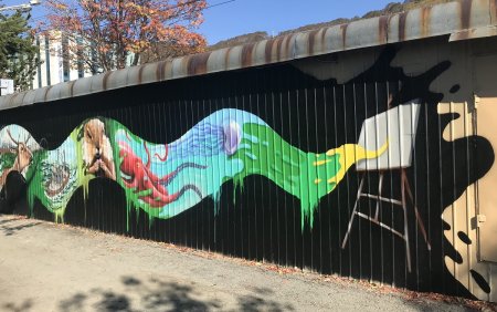 Граффити Петропавловск-Камчатский