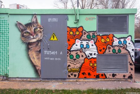 Граффити кот