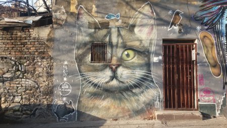 Стрит арт кот