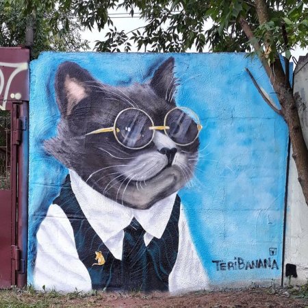 Граффити на стене кот