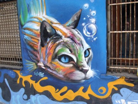 Кот рисует граффити