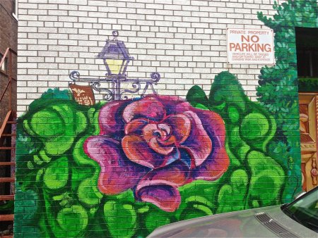 Роза в стиле граффити